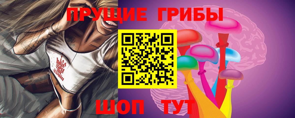 Галлюциногенные грибы прущие грибы Конаково